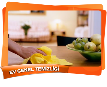 Ev Genel Temizlii